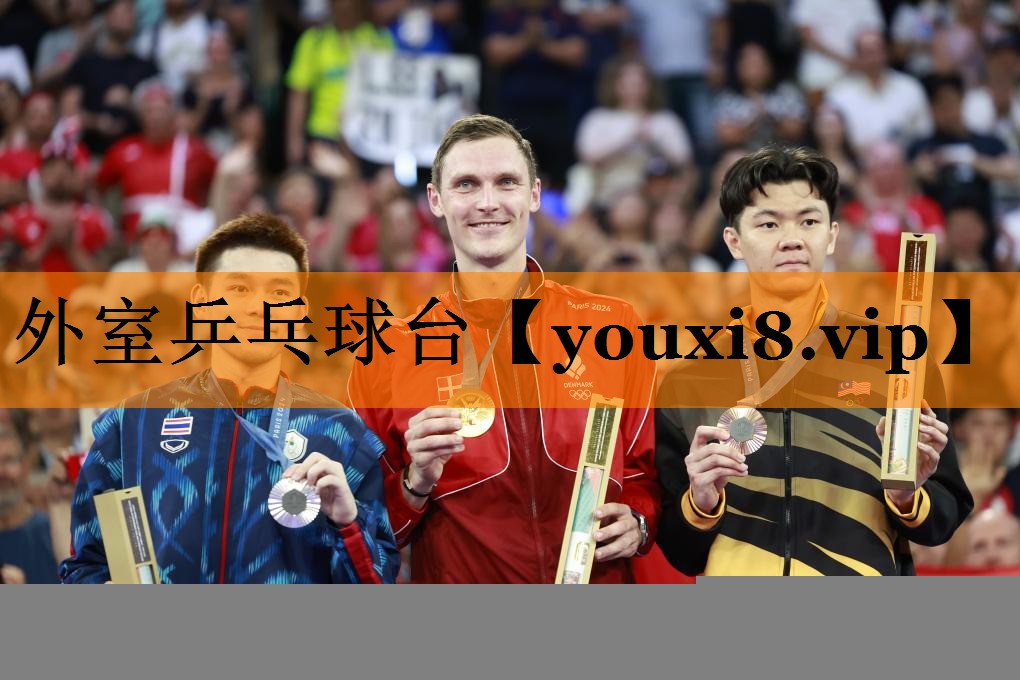 外室乒乓球台