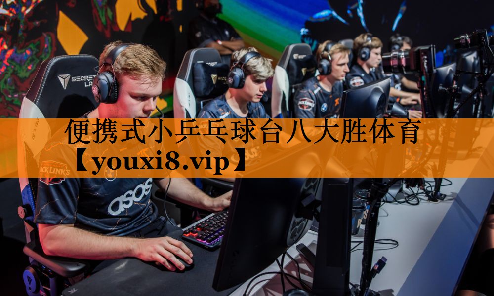 便携式小乒乓球台八大胜体育
