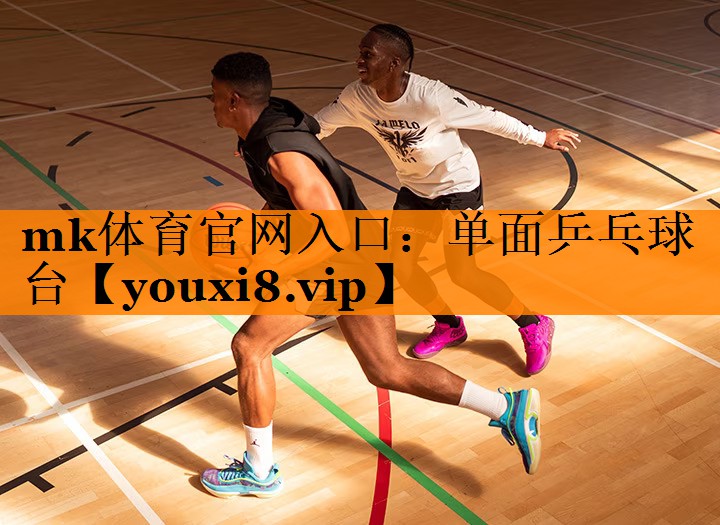 单面乒乓球台
