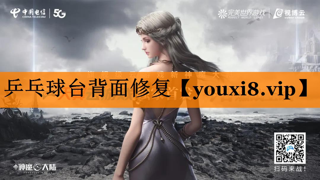 乒乓球台背面修复 乒乓球台背面修复