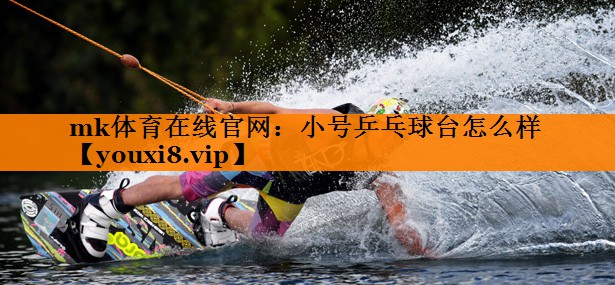 mk体育在线官网：小号乒乓球台怎么样
